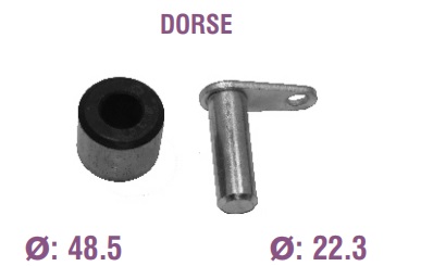 TABLA MAKARASI TK SERTEL DORSE YM 22'LİK  